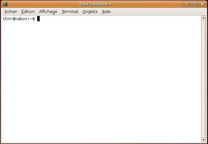Photo d'écran d'un terminal après son ouverture